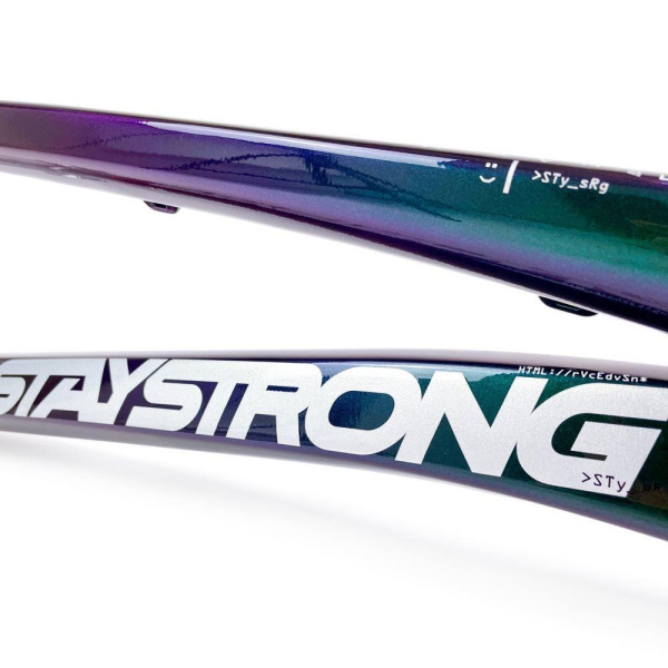 Рама BMX-race StayStrong V5 2024 Disc Chameleon-Silver PRO XXXXL