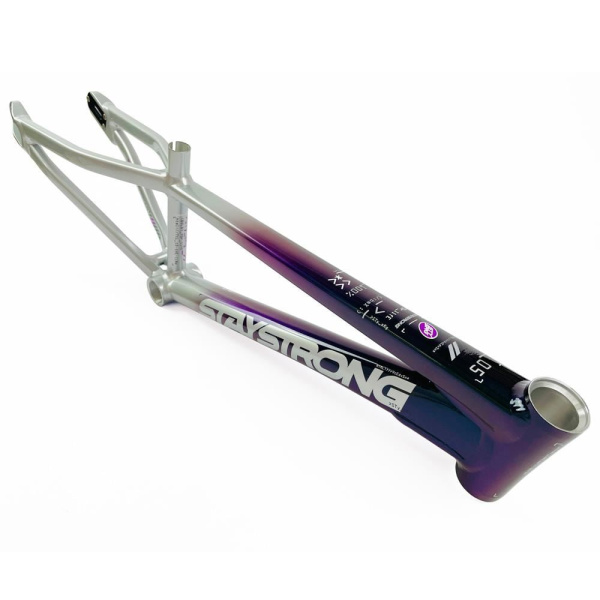 Рама BMX-race StayStrong V5 2024 Disc Chameleon-Silver Expert XL